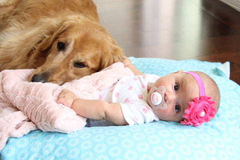 Introducing Your Pets to Your New Baby